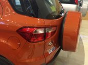 Cần bán Ford EcoSport đời 2015 gía tốt