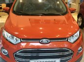 Cần bán Ford EcoSport đời 2015 gía tốt