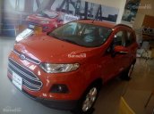 Bán xe Ford EcoSport 1.5P Trend MT chính hãng, giá cả ưu đãi, hỗ trợ trả góp