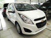 Bán Chevrolet Spark LS đời 2017, màu trắng