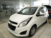 Bán Chevrolet Spark LS đời 2017, màu trắng