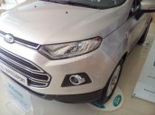 Cần bán xe Ford 1.5 EcoSport Titanium đời 2017, giao luôn, giá hấp dẫn cạnh tranh, đủ màu