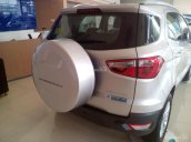 Cần bán xe Ford 1.5 EcoSport Titanium đời 2017, giao luôn, giá hấp dẫn cạnh tranh, đủ màu