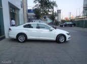 The New Passat - Khẳng định đẳng cấp châu Âu - Chất lừ lừ