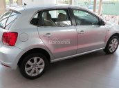 The Polo Hatchback - Giải pháp tinh tế cho dòng xe đô thị