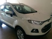 Cần bán Ford EcoSport Trend 1.5MT model 2017, giá chỉ 500 triệu, tặng gói Combo 10 triệu phụ kiện