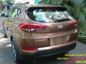 Cần bán Hyundai Tucson đời 2017, màu nâu, nhập khẩu Hàn Quốc, 760 triệu