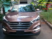 Cần bán Hyundai Tucson đời 2017, màu nâu, nhập khẩu Hàn Quốc, 760 triệu