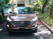 Cần bán Hyundai Tucson đời 2017, màu nâu, nhập khẩu Hàn Quốc, 760 triệu