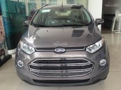 Ford Thủ Đô, đại lý cấp 1 chuyên cung cấp các dòng xe Ford Ecosport 2018 giá chỉ từ 545tr, 0902212698