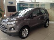 Ford Thủ Đô, đại lý cấp 1 chuyên cung cấp các dòng xe Ford Ecosport 2018 giá chỉ từ 545tr, 0902212698