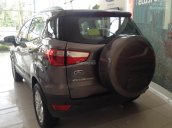 Ford Thủ Đô, đại lý cấp 1 chuyên cung cấp các dòng xe Ford Ecosport 2018 giá chỉ từ 545tr, 0902212698