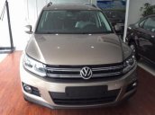 Bán xe Volkswagen Tiguan 2.0 TSI 4 Motion đời 2016, màu nâu, xe mới