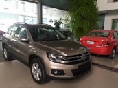 Bán xe Volkswagen Tiguan 2.0 TSI 4 Motion đời 2016, màu nâu, xe mới