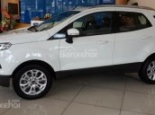 Bán Ford EcoSport tiêu chuẩn Euro 4 đời 2017, giá 599 triệu tốt nhất miền Nam, giao xe ngay