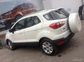 Bán Ford EcoSport tiêu chuẩn Euro 4 đời 2017, giá 599 triệu tốt nhất miền Nam, giao xe ngay