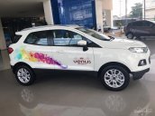 Bán Ford EcoSport tiêu chuẩn Euro 4 đời 2017, giá 599 triệu tốt nhất miền Nam, giao xe ngay