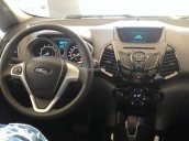 Bán Ford EcoSport tiêu chuẩn Euro 4 đời 2017, giá 599 triệu tốt nhất miền Nam, giao xe ngay