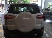 Bán Ford EcoSport Titanium AT 2018 mới 100%, giao ngay, hotline 033.613.5555