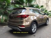 Bán xe Hyundai Santa Fe đời 2017, màu nâu 0913034357