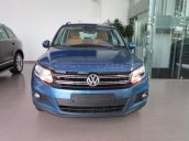 Bán Volkswagen Tiguan 2.0TSI đời 2016, màu xanh lam