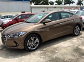 Cần bán Hyundai Elantra sản xuất 2018 màu nâu tại Đắk Lắk, hỗ trợ vay vốn 80% giá trị xe. Hotline 0935904141