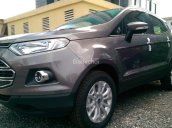 Cần bán xe Ford EcoSport 1.5 Titanium 1.5 AT năm 2017, giá chỉ 575 triệu, đủ màu giao xe luôn