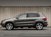 Bán xe ô tô Volkswagen Tiguan 2.0l TSI, 4 Motion, đời 2016, màu xám (ghi). LH Hương: 0902608293