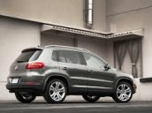 Bán xe ô tô Volkswagen Tiguan 2.0l TSI, 4 Motion, đời 2016, màu xám (ghi). LH Hương: 0902608293