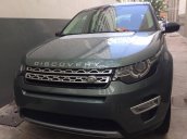 Bán giá xe LandRover Discovery Sport HSE  màu xám, đồng, giá ưu đãi tốt, giao xe ngay 0918842662