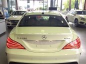 Cần bán Mercedes 250 đời 2016, màu trắng