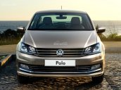 Cần bán Volkswagen Polo GP năm 2018, màu nâu, nhập khẩu chính hãng