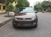 Bán xe nhập đức Volkswagen Polo Hacthback 1.6L đời 2016, màu nâu, LH 0902.608.293