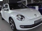 Bán xe Nhập Đức Volkswagen Beetle 1.2l đời 2016, màu trắng, LH Hương 0902608293
