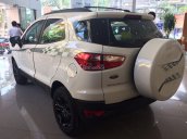 Bán ô tô Ford EcoSport Black Edition 1.5AT sản xuất 2017, giá chỉ 580 triệu, đủ màu, tặng full PK