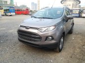 Cần bán xe Ford EcoSport Titanium AT đời 2017, 550tr- giao xe ngay trong ngày hỗ trợ mọi thủ tục