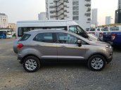 Cần bán xe Ford EcoSport Titanium AT đời 2017, 550tr- giao xe ngay trong ngày hỗ trợ mọi thủ tục