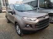 Cần bán Ford EcoSport 1.5 Titanium đời 2017, giá chỉ 500tr, gọi ngay nhận giá hấp dẫn