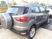 Cần bán Ford EcoSport 1.5 Titanium đời 2017, giá chỉ 500tr, gọi ngay nhận giá hấp dẫn