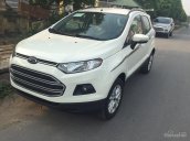 Giao ngay Ford EcoSport 1.5 MT 2017, giá chỉ 500 tr, tặng bảo hiểm, cùng phụ kiện giá trị. Gọi ngay nhận giá tốt nhất