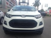 Bán xe EcoSport giá tốt nhất thị trường