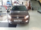 Bán Volkswagen Polo đời 2015, màu nâu