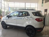 Ford Thủ Đô chuyên cung cấp các dòng xe Ford Ecosport giá tốt nhất tại Bắc Ninh, trả góp 80%, đủ màu, LH 0902212698