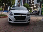 Bán ô tô Chevrolet Spark Van đời 2013, màu trắng, nhập khẩu