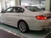 BMW 520i Special Edition 2016: Xe nhập Đức - Bản option nhiều nhất - Giá tốt nhất - Nhiều lựa chọn cho màu xe