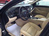 BMW 520i Special Edition 2016: Xe nhập Đức - Bản option nhiều nhất - Giá tốt nhất - Nhiều lựa chọn cho màu xe