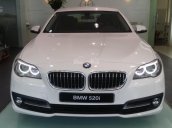 BMW 520i Special Edition 2016: Xe nhập Đức - Bản option nhiều nhất - Giá tốt nhất - Nhiều lựa chọn cho màu xe