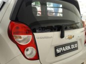 Bán Chevrolet Spark Duo MT đời 2018, 2 chỗ đủ màu xe nhỏ trong thành phố, ngân hàng cho vay 80%