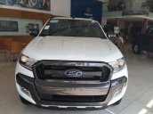Thái Bình Ford: Bán Ford Ranger Wildtrak 3.2 đời 2017, nhập khẩu nguyên chiếc Thái Lan, giá 875tr