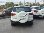 Bán Ford EcoSport Black Edition 2017, phiên bản cao cấp nhất của EcoSport, đủ màu, giá tốt, LH 098 3232 294